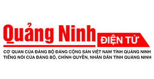 Nhà cái trực tuyến nào hỗ trợ khách hàng tốt nhất